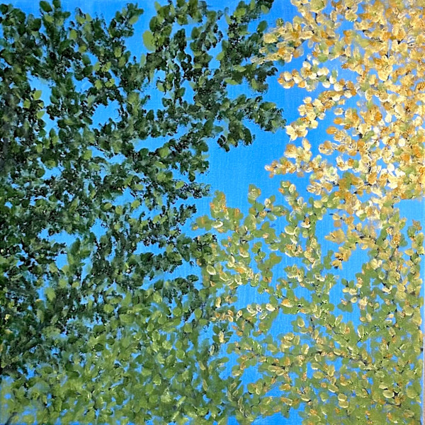 Leaves Looking Up by Krista Joan Green