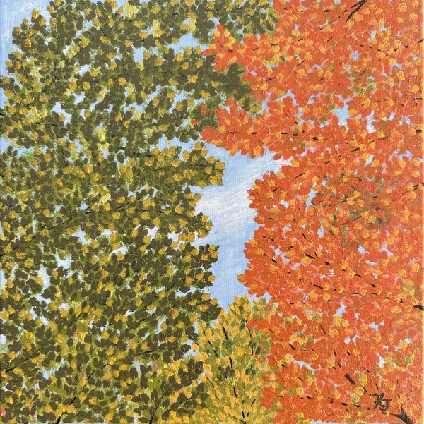 Looking Up Through the Leaves by Krista Joan Green