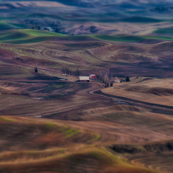 Palouse by Mark Favero, Image 1.