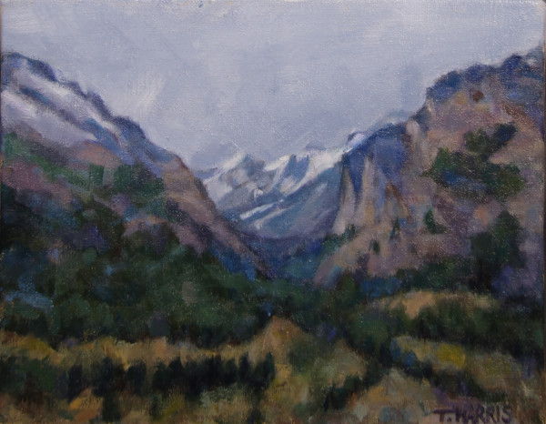 Blodgett Canyon, Hamilton, Montana by Theresa Harris