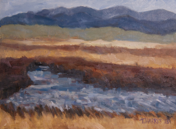 Henry’s Lake, Ovando, Montana by Theresa Harris