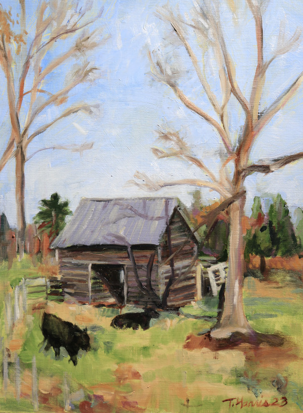 Owens Hay Barn, Canton, GA by Theresa Harris