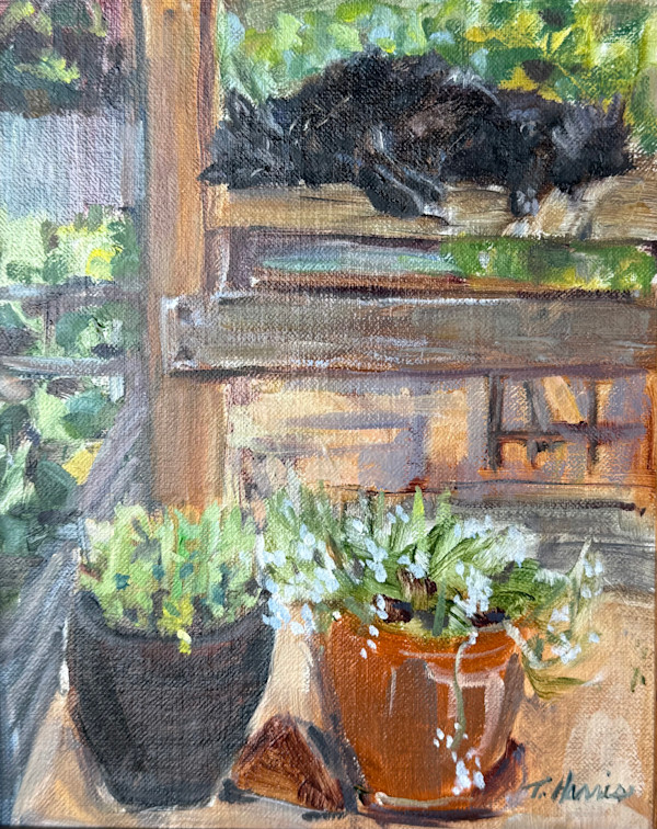 Cat Nap at Rucker Farm by Theresa Harris
