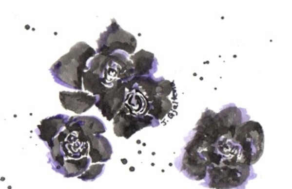 Black Rose by Jennifer Gjaltema