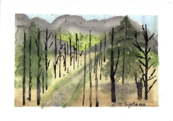 Deforestation by Jennifer Gjaltema