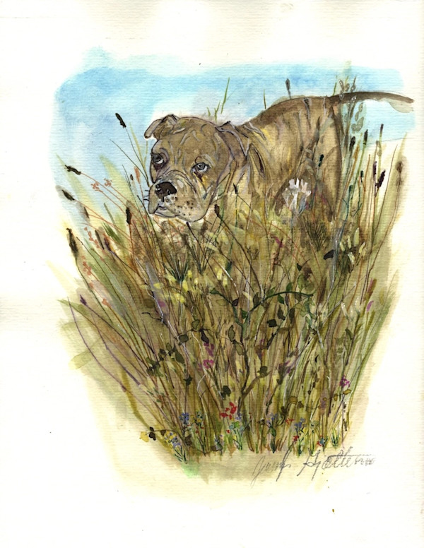 Hugo - Giclée Print by Jennifer Gjaltema