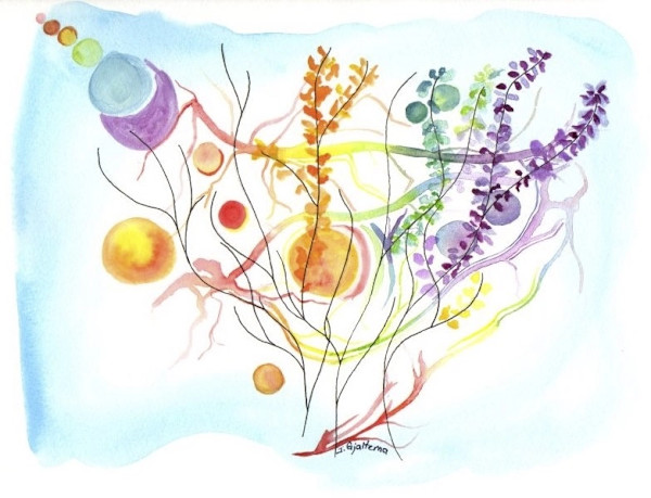 It’s A Beautiful Universe by Jennifer Gjaltema