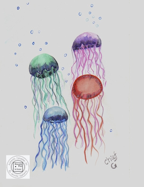 Jellies In Light by Jennifer Gjaltema
