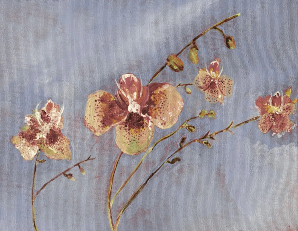 Orchids - Giclée Print by Jennifer Gjaltema