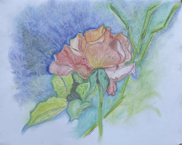 Ray's Rose by Jennifer Gjaltema