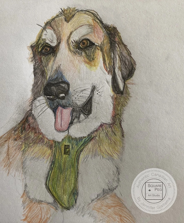 Shaggy by Jennifer Gjaltema