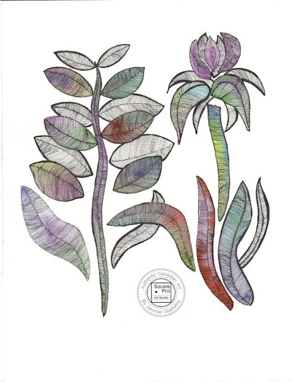 Tulip by Jennifer Gjaltema