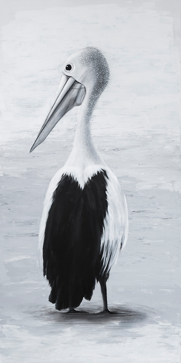 The Pelican by Colleen Brown