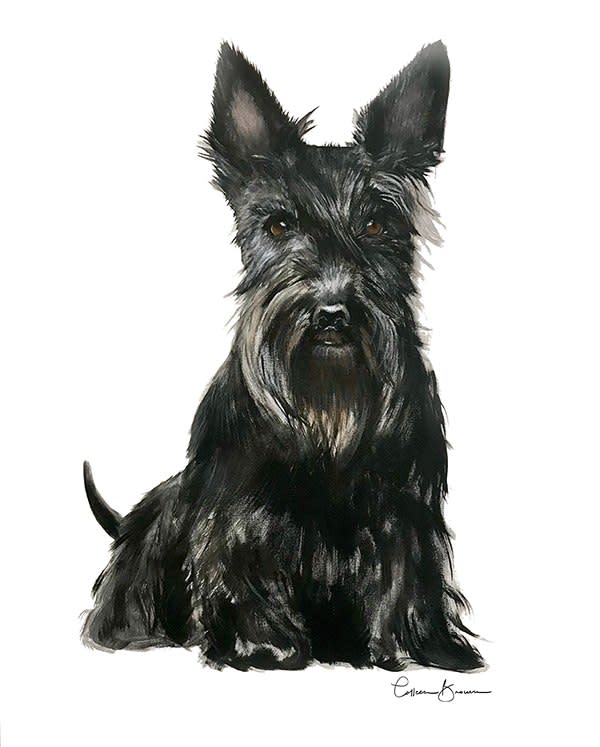 Black Scottie by Colleen Brown