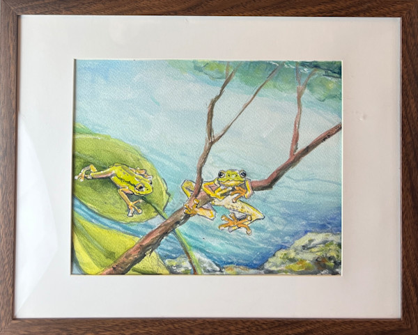 Monterey Tree Frog by Carole Moore