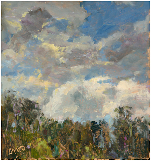 A Summer Sky by Stephanie Amato