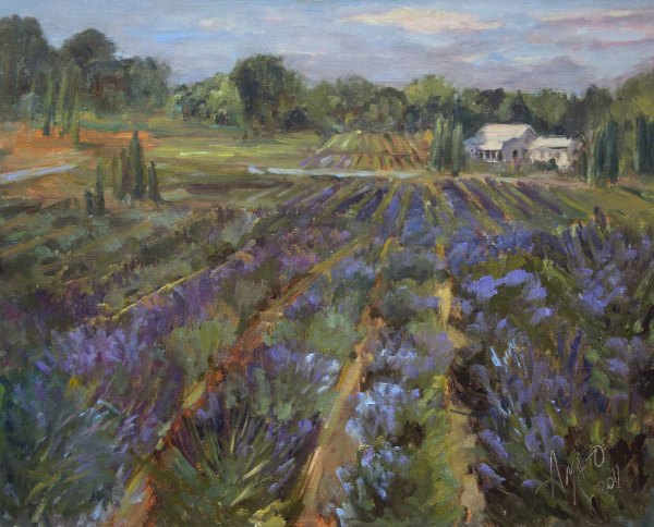 Carousel Lavender Farm by Stephanie Amato