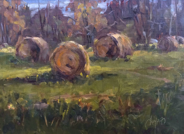 Cold Brook Haybales by Stephanie Amato