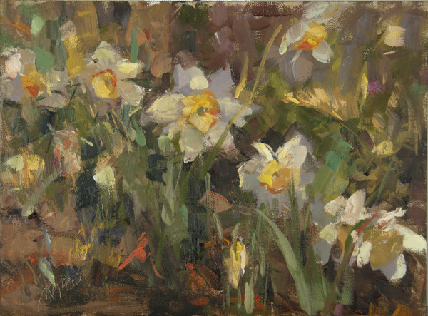 Daffodils in the Garden