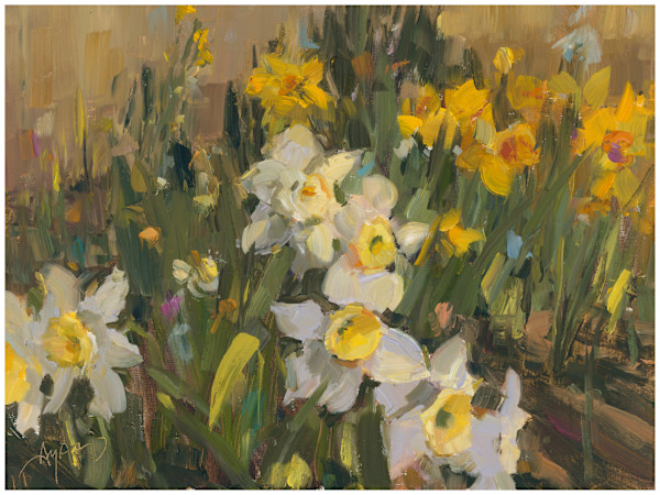 Dancing Daffodils by Stephanie Amato