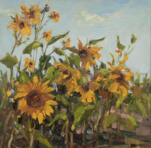 Garden of Sunflowers (Framed) by Stephanie Amato