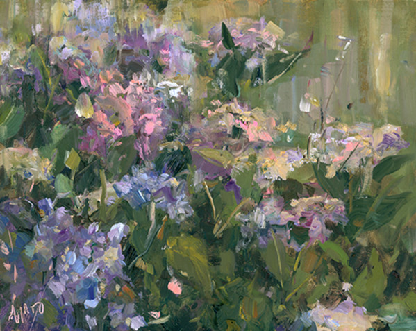 Hydrangeas in Bloom by Stephanie Amato