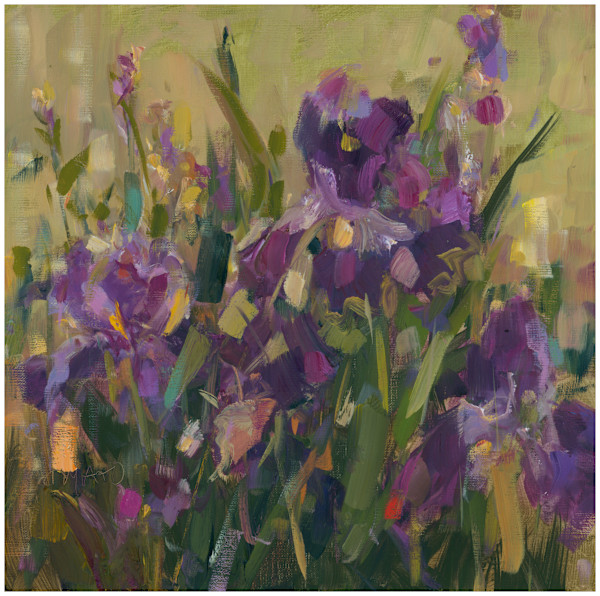 Purple Irises by Stephanie Amato