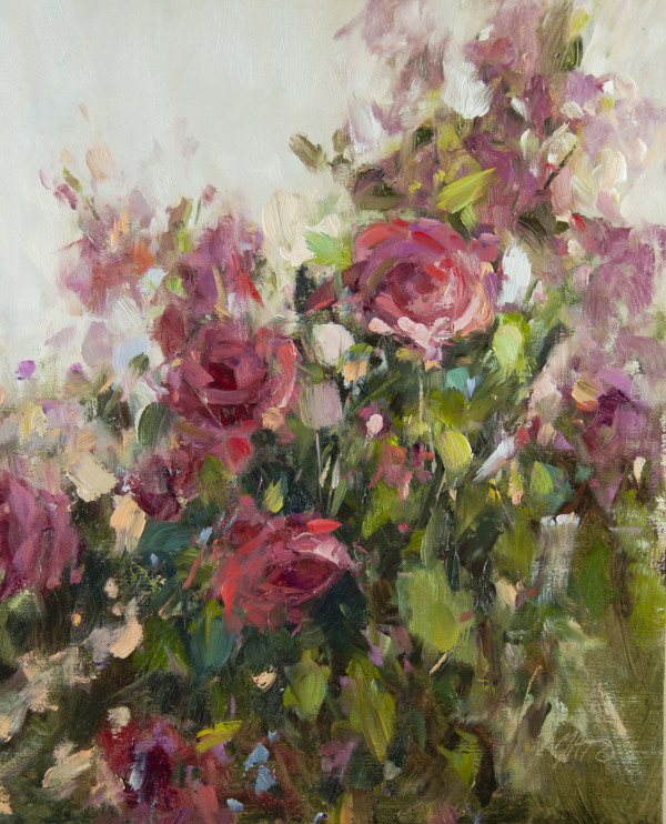 Spring Roses by Stephanie Amato