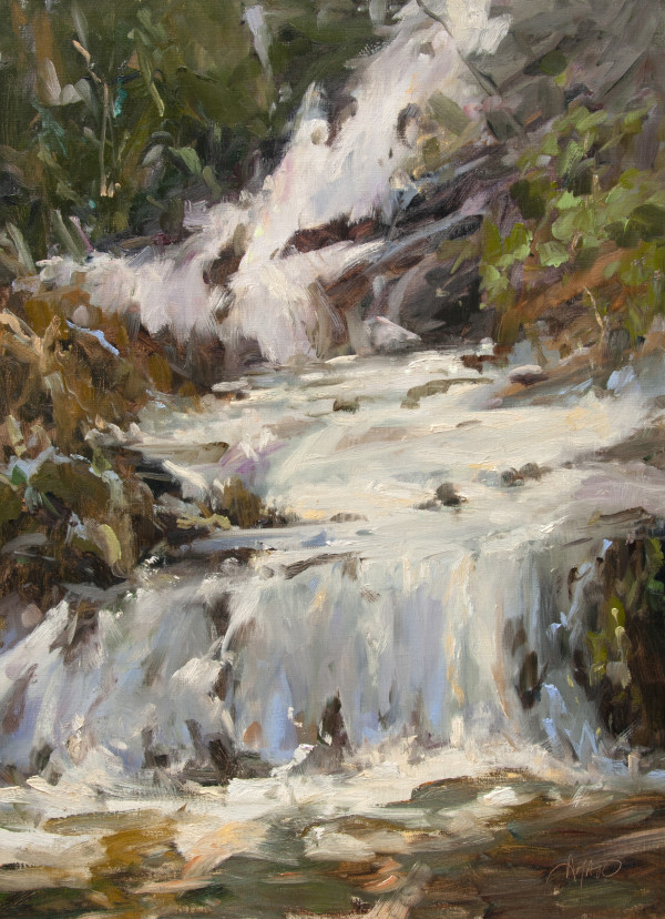 Rushing Water by Stephanie Amato