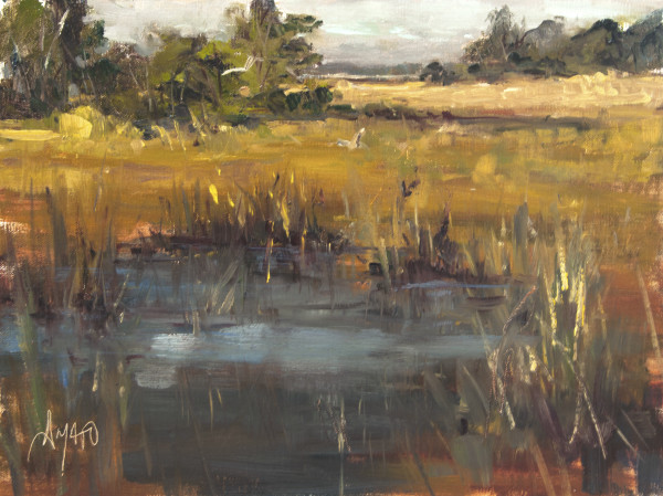 Shem Creek Marsh by Stephanie Amato