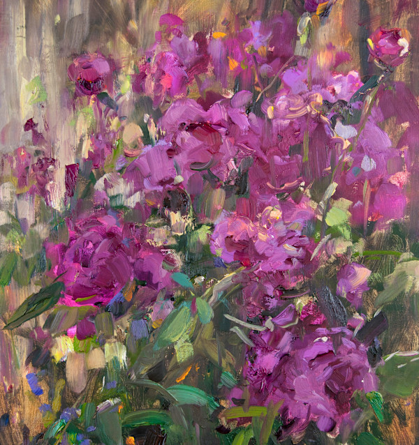 Peonies in Bloom by Stephanie Amato
