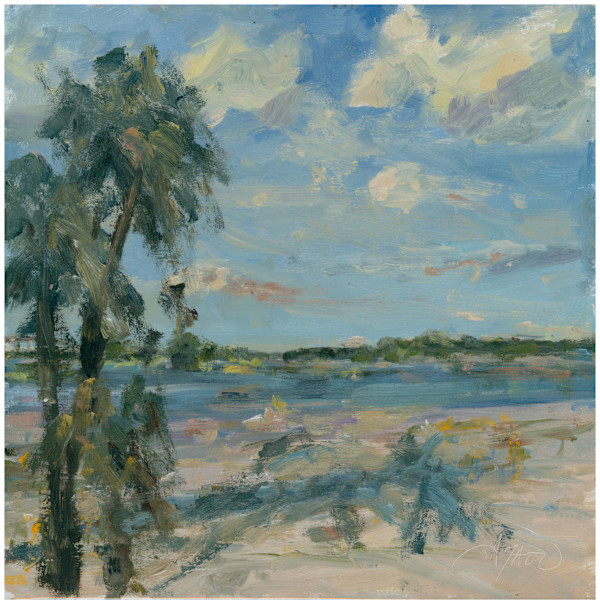 Summer Breeze by Stephanie Amato