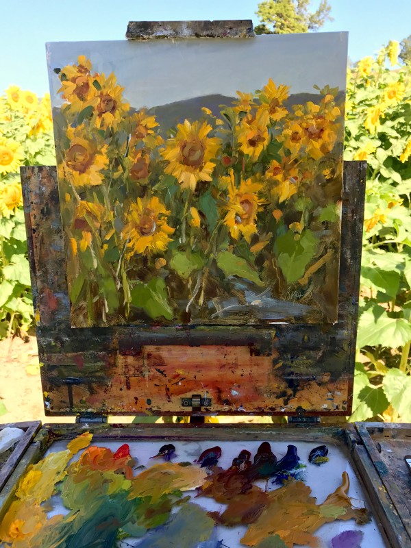 Sunflower Explosion by Stephanie Amato