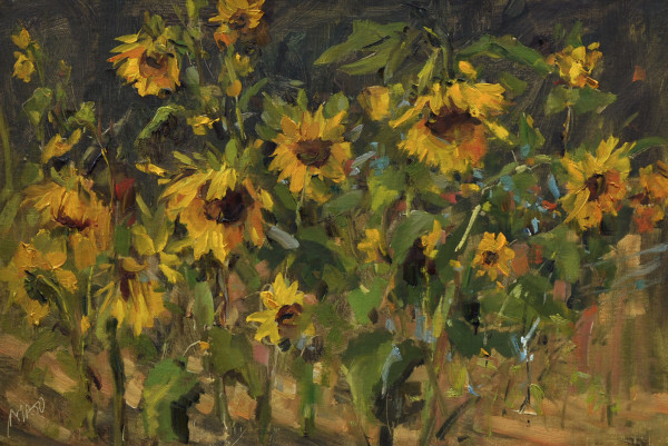 Sunflower Garden by Stephanie Amato