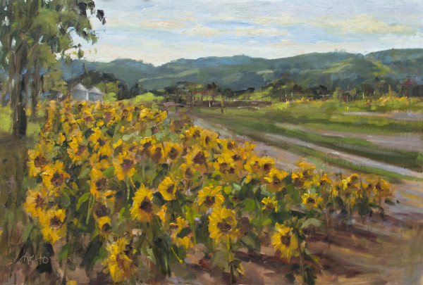 Sunflowers in the Afternoon by Stephanie Amato