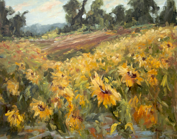 Sunflowers of Summer by Stephanie Amato