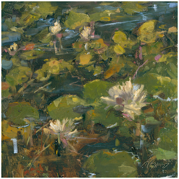The Waterlily Pond by Stephanie Amato