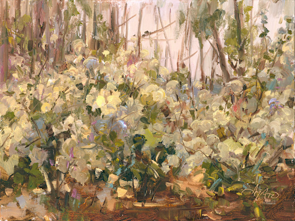 Untamed Garden by Stephanie Amato