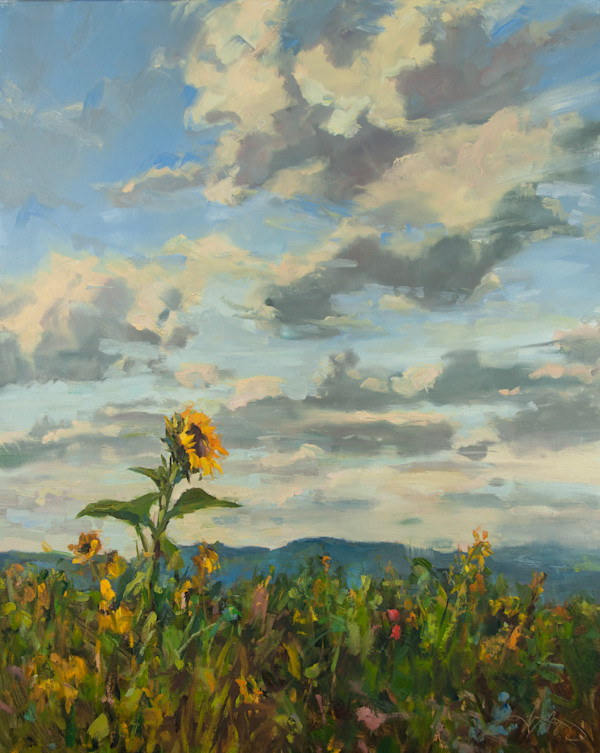 Warmth of the Sun by Stephanie Amato