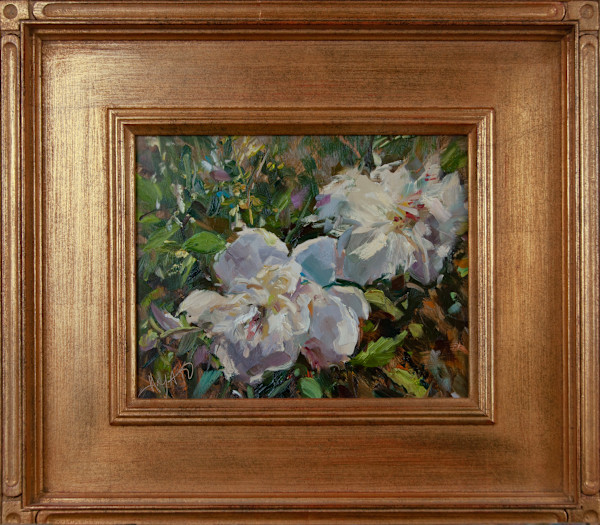 White Peonies by Stephanie Amato