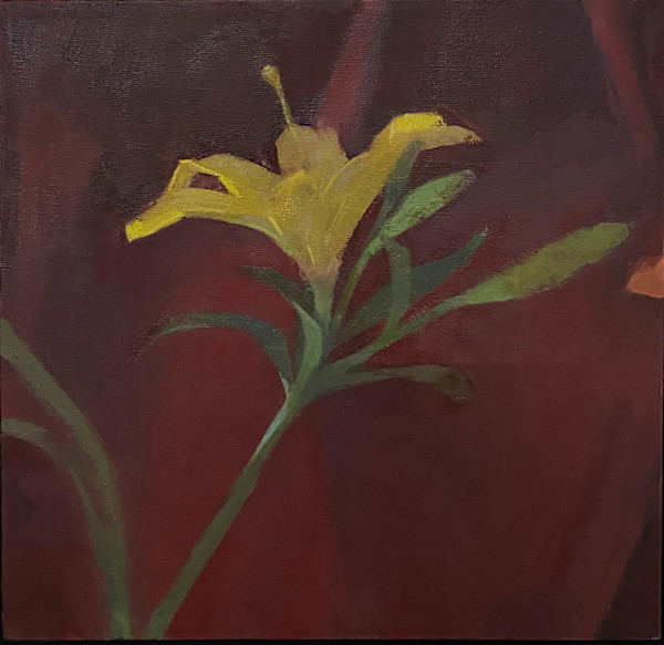 Lily-Yellow-Lily by Lucy Barber