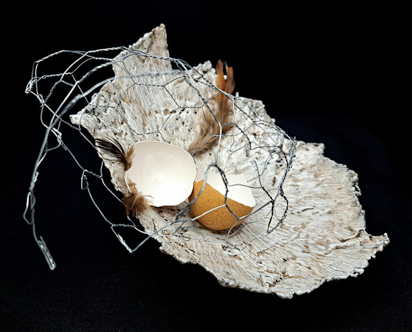 Break Free by Dusti Gomery