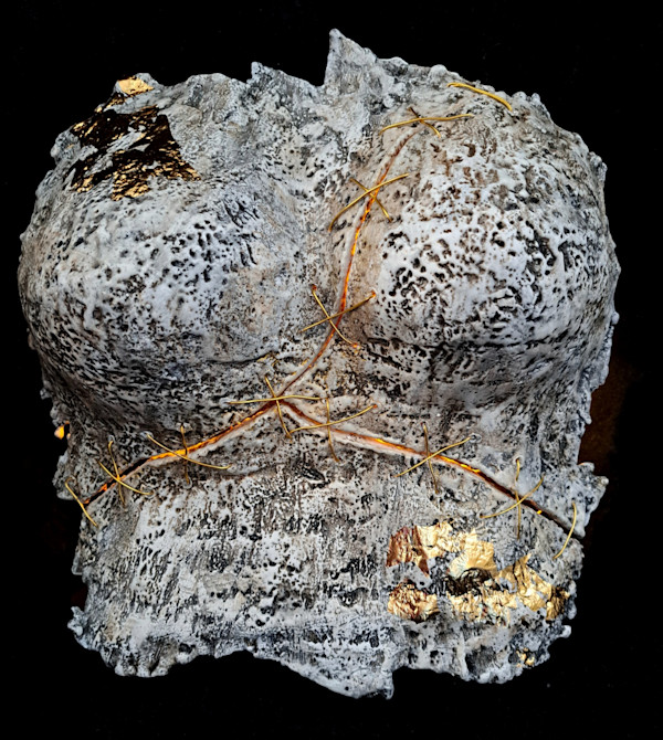 Shine by Dusti Gomery, Image 2.