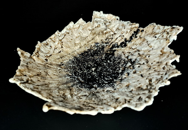 Oh Industry by Dusti Gomery