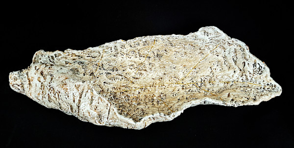 Windy Acres by Dusti Gomery