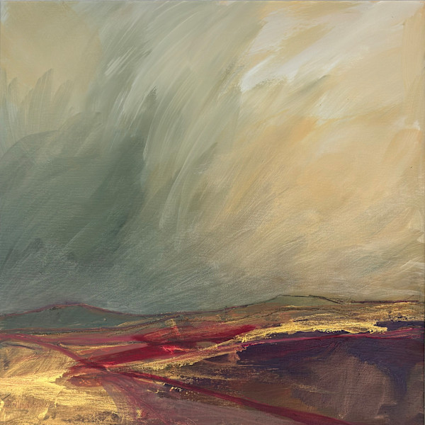 Chasing Shadows Over the Moor by Susie Collingbourne