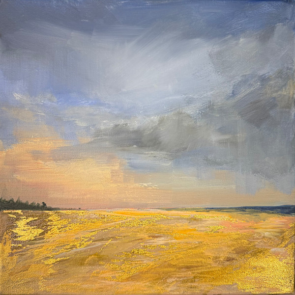 Take a Shine to by Susie Collingbourne