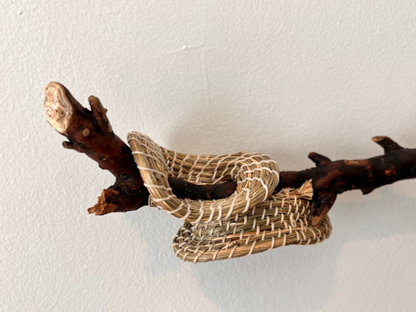 2513-WG (budding) by Eric Stark, Image 3.