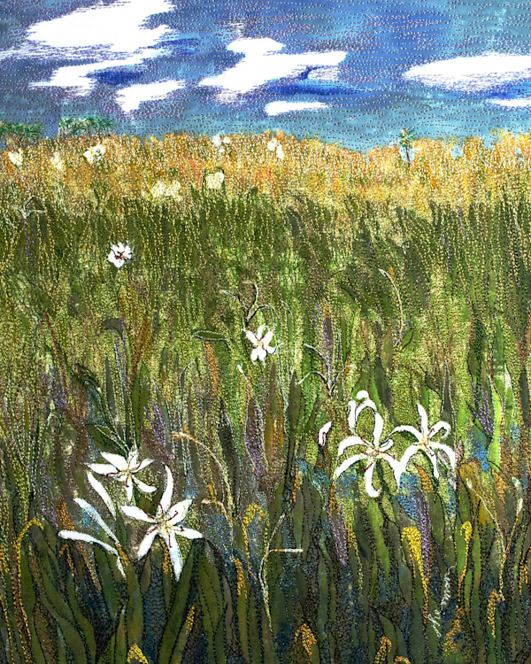 Cypress Marsh by Janet Herman