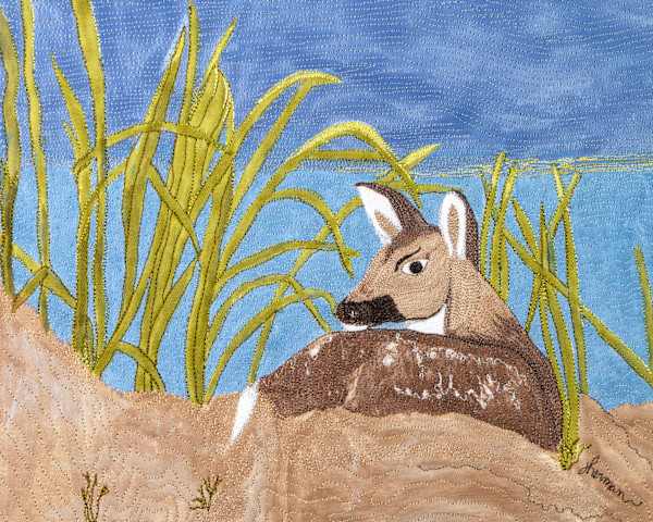 Deer in Sand #1/5 Reproduction by Janet Herman